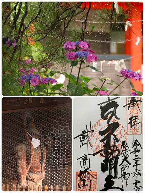 紫陽花と仁王像と御朱印