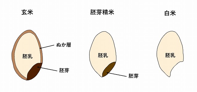 玄米・胚芽精米・精白米